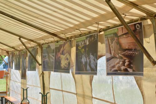 May'Eco Trail 2019 (20)