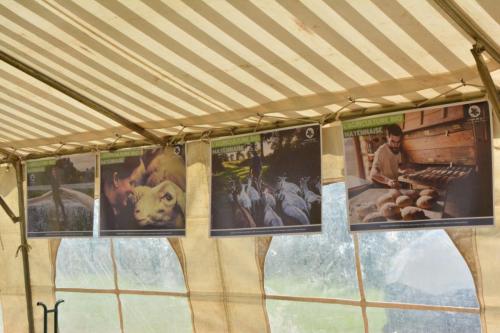 May'Eco Trail 2019 (21)